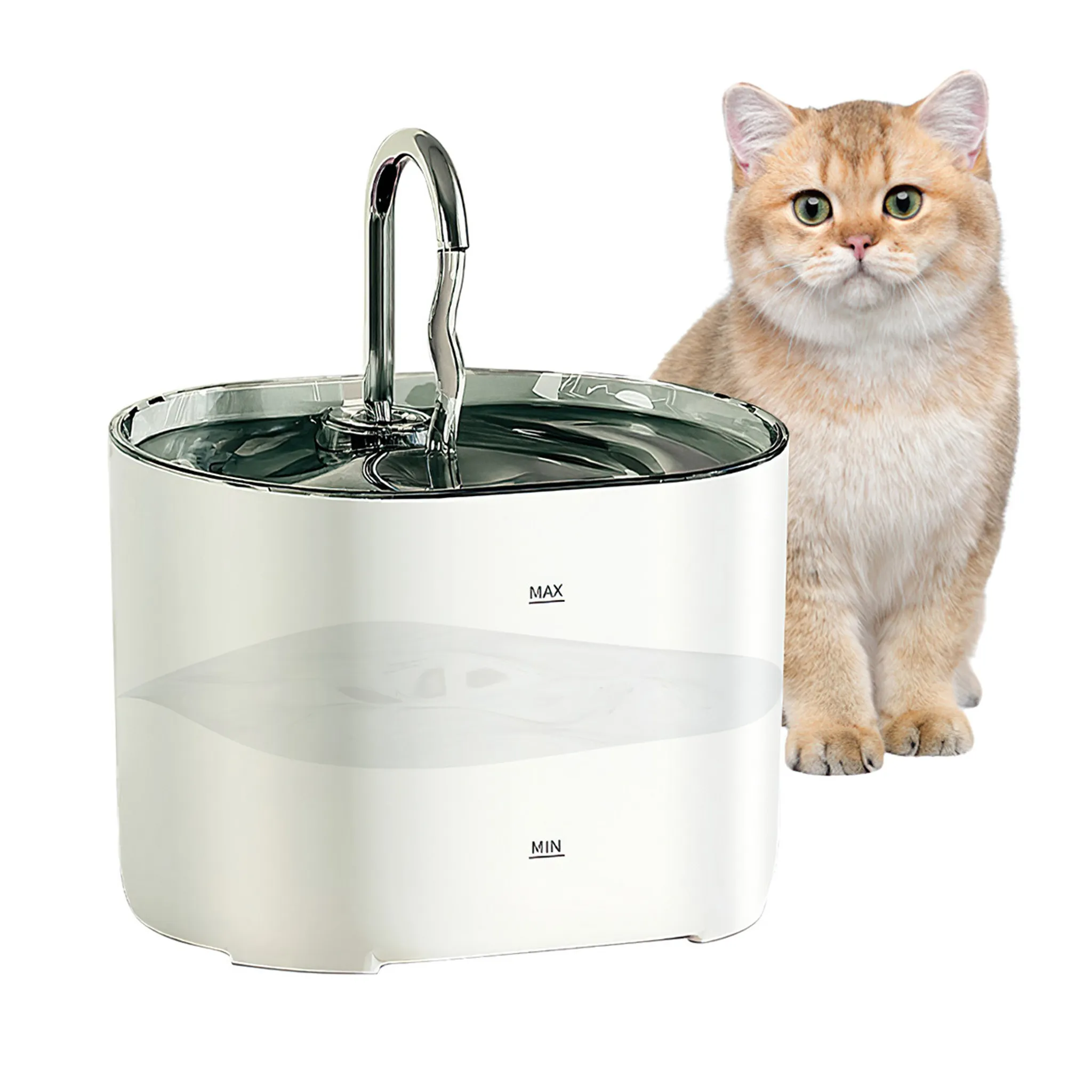 Pozo Para Gatos, Pozo Para Beber Gato