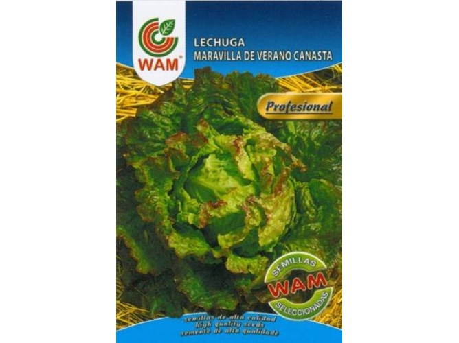 Semillas WAM Lechuga Maravilla de Verano Canasta