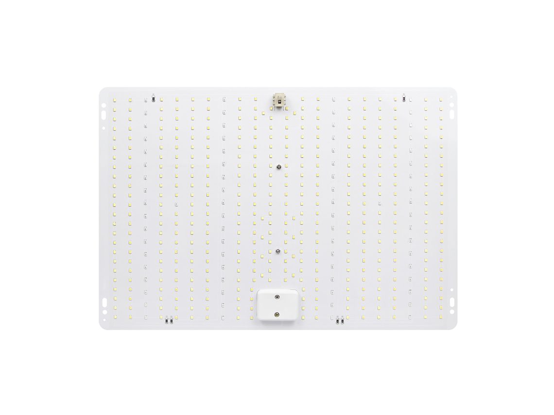 2026-luz De Crecimiento De Plantas Led De Espectro Completo Para Plantas Interiores Succulentas Y Semilleros