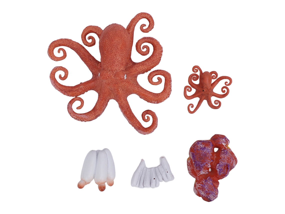 Set De 5 Figuras De Pulpo, Juguete Educativo, Ciclo De Vida De Animales Marinos, Pvc