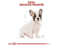 Pienso para Perros ROYAL CANIN French Bulldog Puppy (1 Kg)