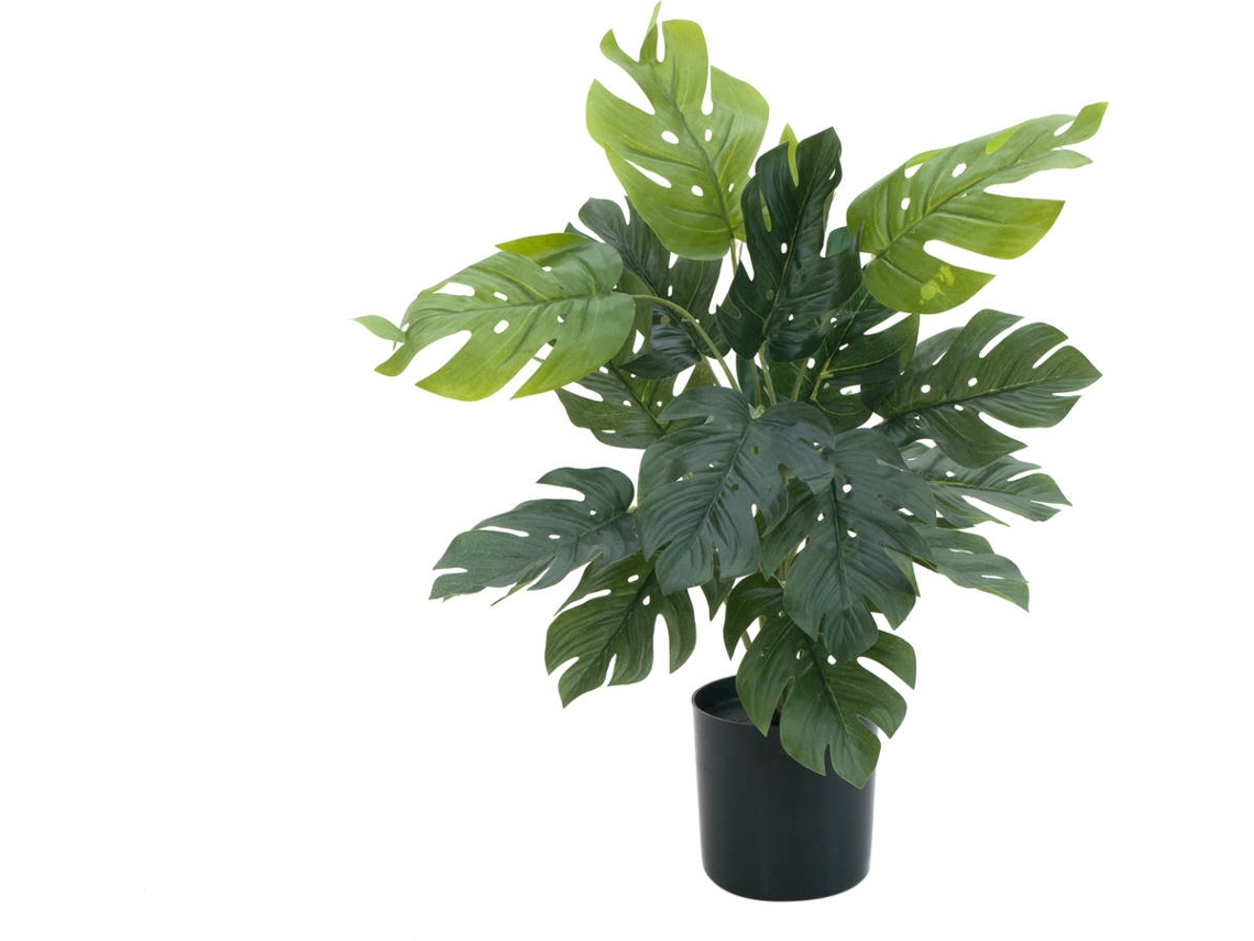 Planta Artificial EUROPALMS Split Philo Plant (Verde - 38 cm)