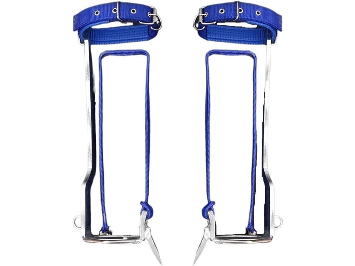 Equipo De Escalada En Les Arbres Chat Escalade Arbre Soporte Universel Grand Allumer Outil