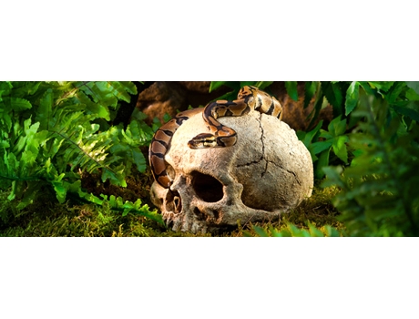 Adorno para Reptiles EXO TERRA 15.8x15.6x15 cm