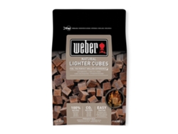 Pastillas de Encendido WEBER 17612