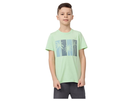 Camiseta de Hombre 4F Jtsm