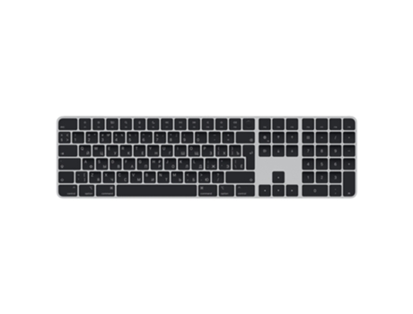 APPLE Magic Keyboard teclado USB Bluetooth QWERTY Ruso Plata, Negro