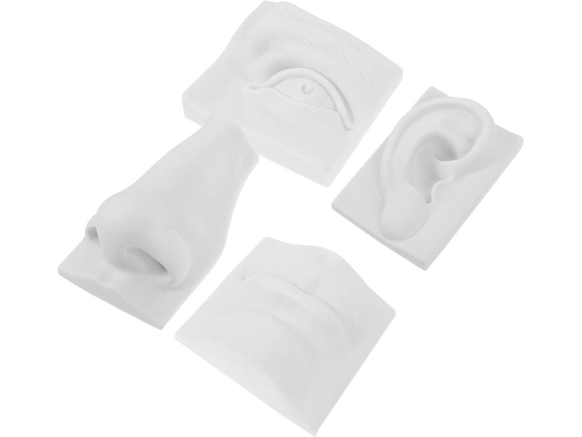 Modelo De Dibujo De Yeso Blanco Para Aprender Rasgos Faciales