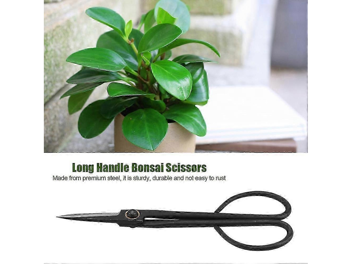 Tijeras de poda para bonsái Aura de 205 mm con mango largo - Herramienta para cortar brotes y hojas
