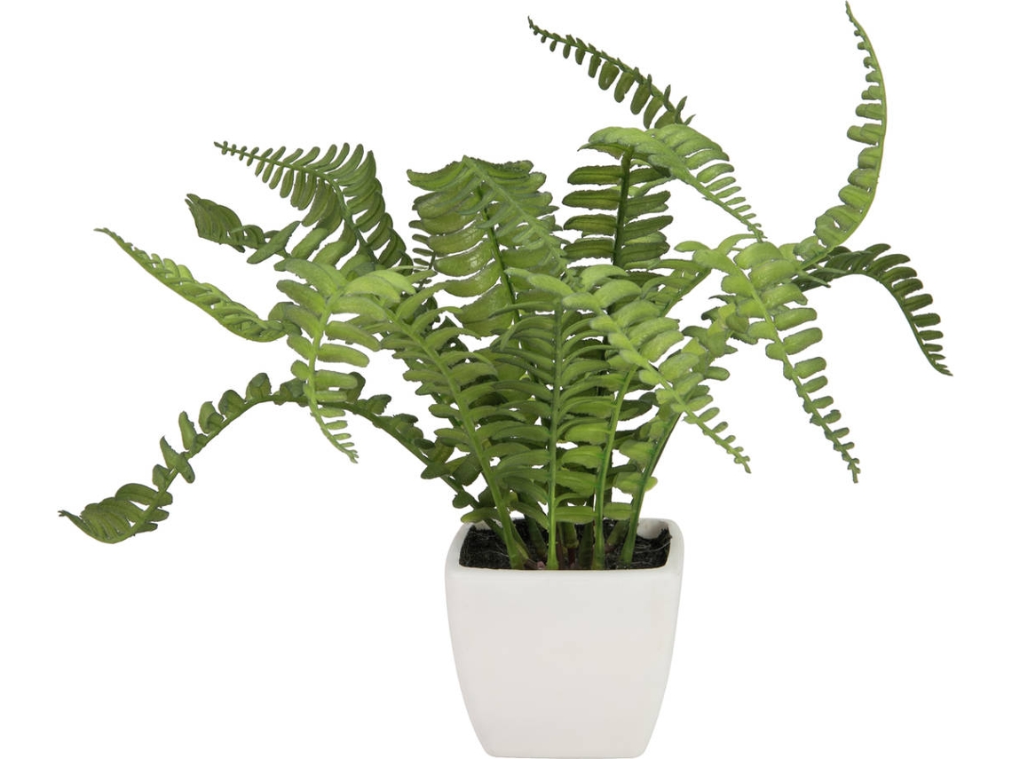 Planta Artificial EUROPALMS Boston Fern (Verde - 25 cm)