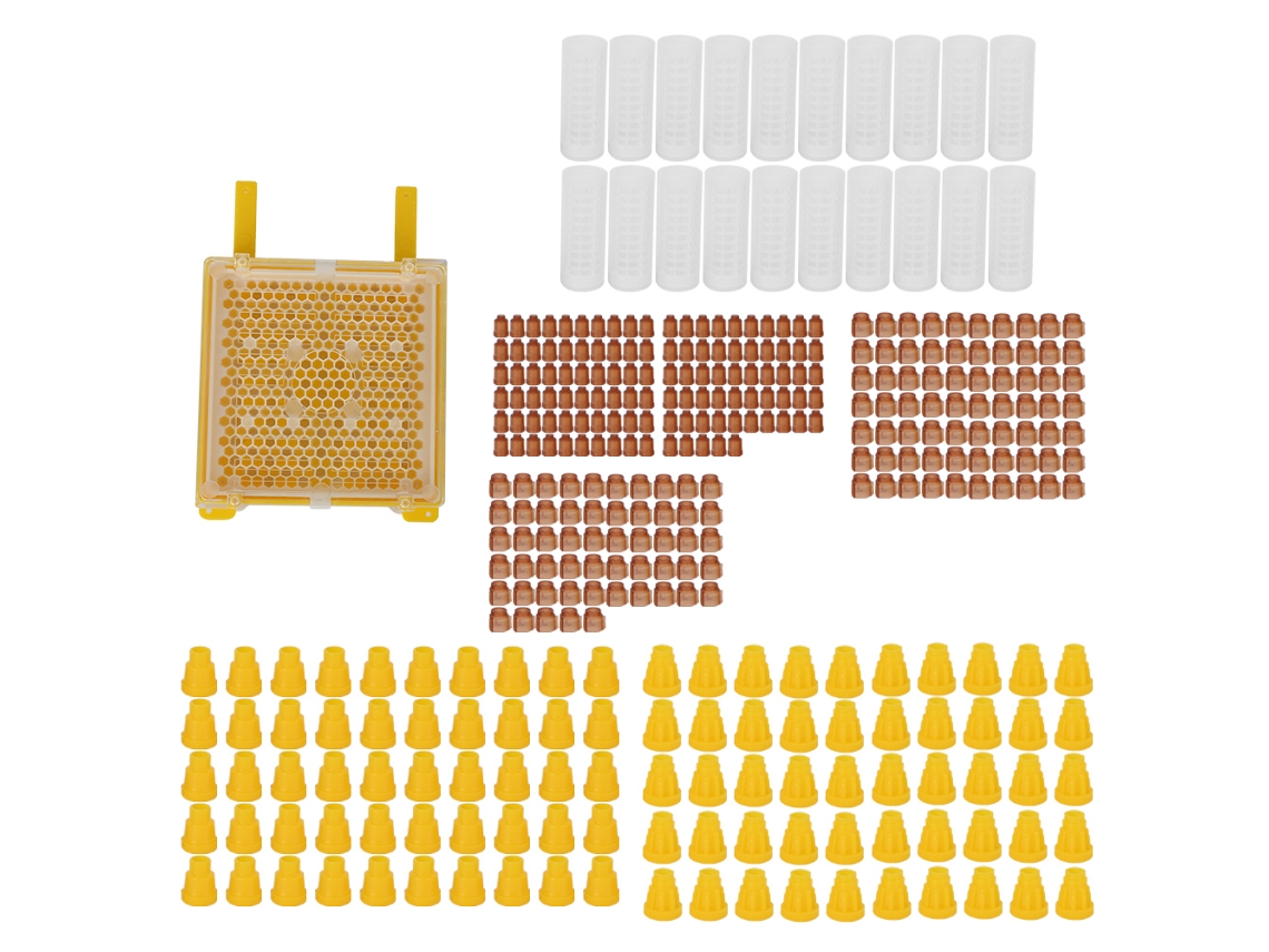 Kit de cría de abejas reinas con cubierta protectora, accesorios completos para apicultores.