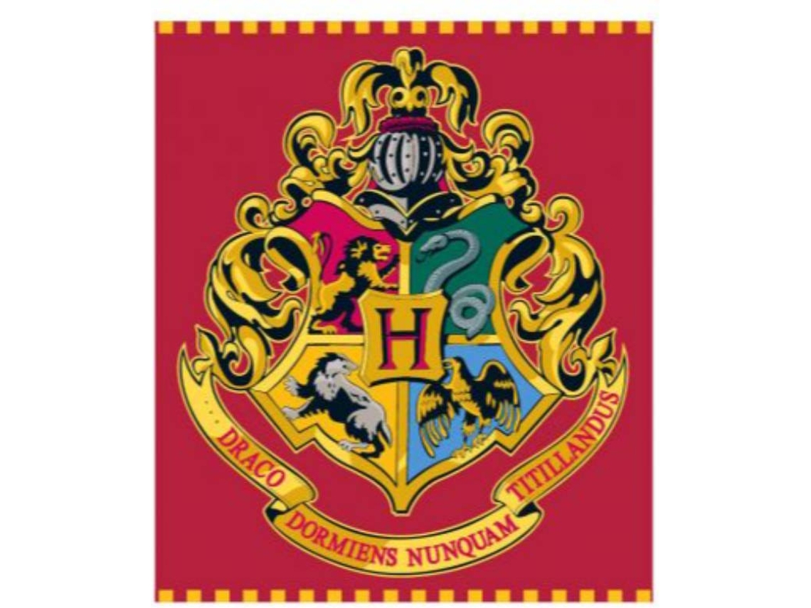 Sábana HARRY POTTER 67105 (Poliéster - 150x100 cm)
