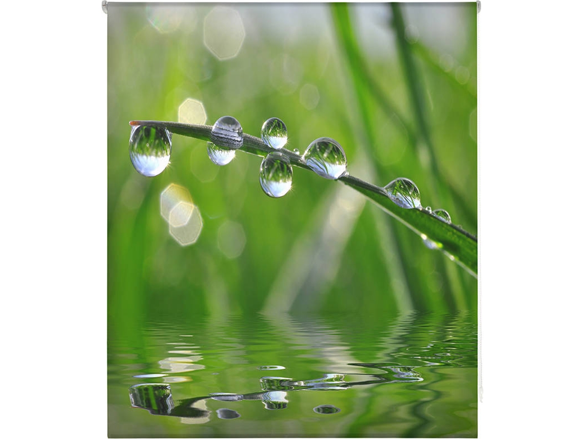 Estor Enrollable HAPPYSTOR Estampado Digital Zen HSCZ1287 145x250 cm