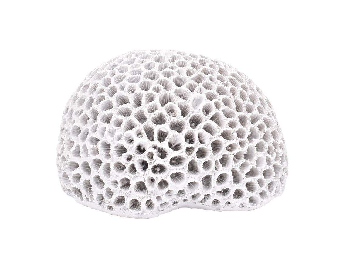 ORIGEN Home Decor Figura Coral Jarrones Y Portavelas Figura Marinera Blanco - 10x15x14cm