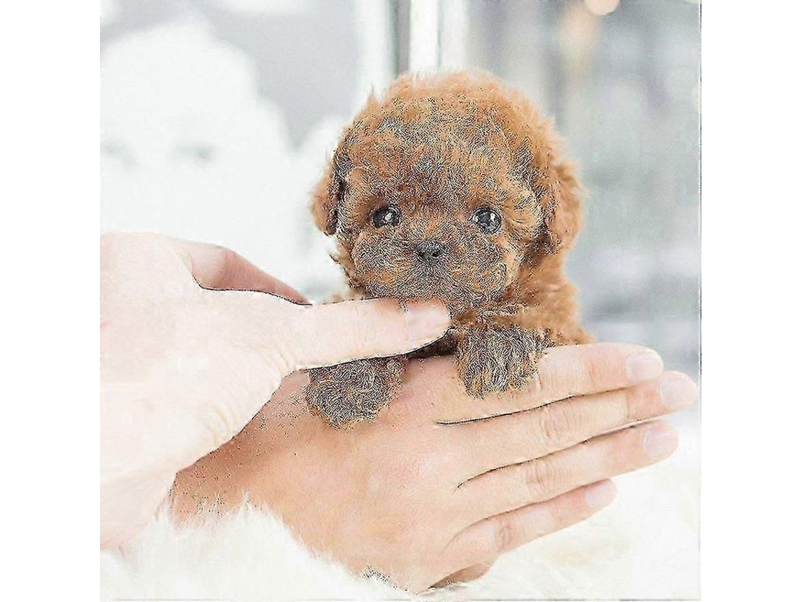 Juguete De Peluche Interactivo Realista De Perro Robot Para Niñas Y Niños - Regalo