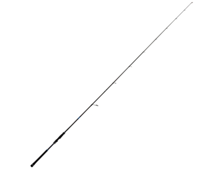 Cana Spinning Airvolution Phantom Prateado 3.05 M / 20-80 Gxzoga