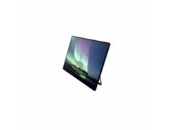 Monitor con Pantalla Táctil RICOH 150 (Negro - OLED - 15,6" - Enchufe EU - 1 ms)