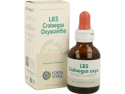 Té FORZA VITALE Crataegus Oxyacantha (50 ml)
