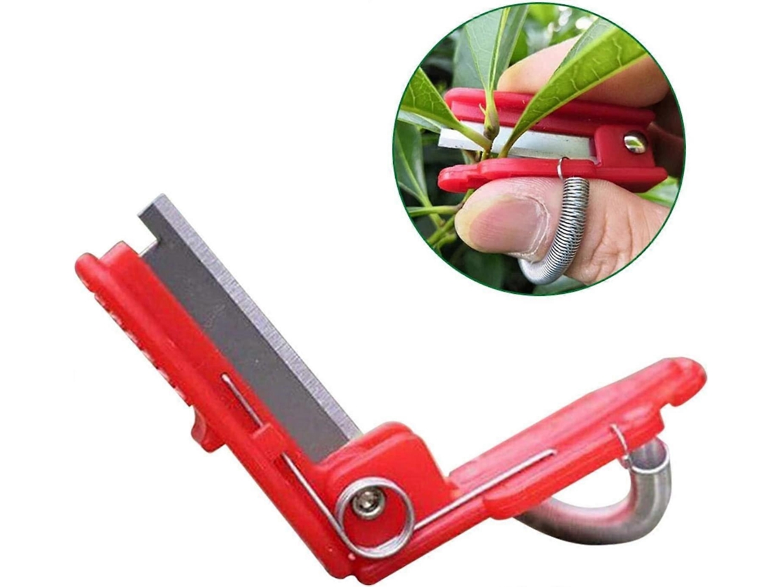 5 Herramientas De Cosecha Jardín, Separador De Pulgares Acero Inoxidable Para Frutas Verduras Té