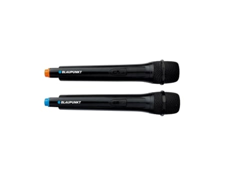 Altavoz Bluetooth BLAUPUNKT PB12DB (Negro - Bluetooth 5.0 - 1600 W)