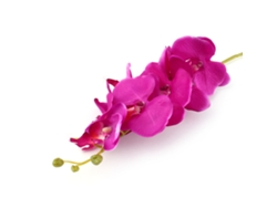 VYLARA Orquídea borboleta artificial Phalaenopsis 6 cores decorativa para festa de casamento em casa