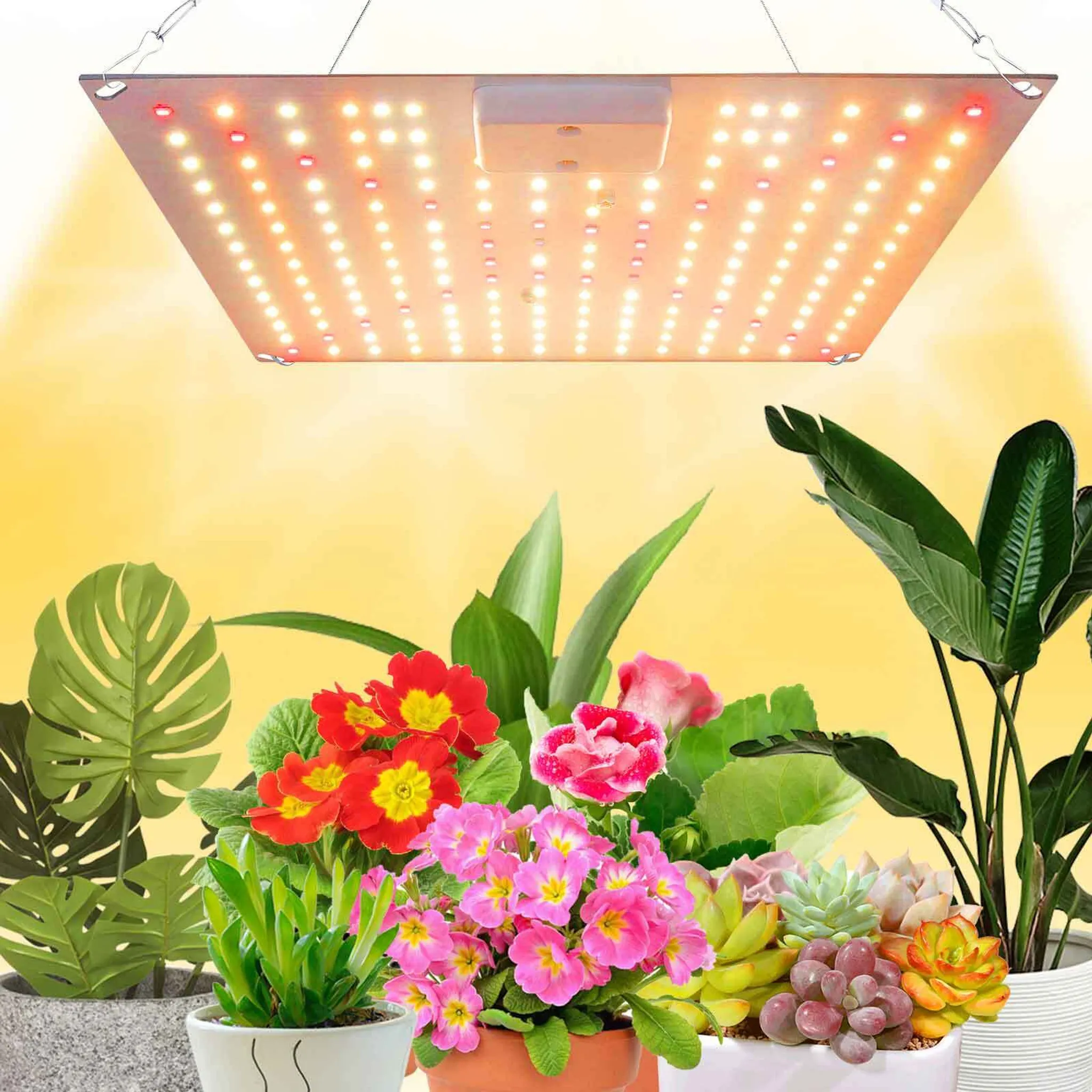 Panel Cuántico Led - Grande