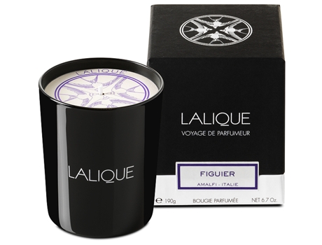 Vela Figuier Amalfi 190 Gr LALIQUE