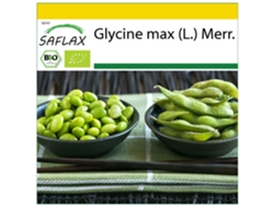SAFLAX Conjunto de cultivo Ecológico Alubia Edamame 8 semillas Con mini invernadero, sustrato de cultivo y 2 macetas Glycine max (L.) Merr.