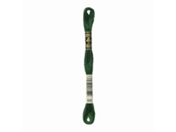 Hilo de Bordar DMC Mouline 117Mc Verde Seco Escuro 895