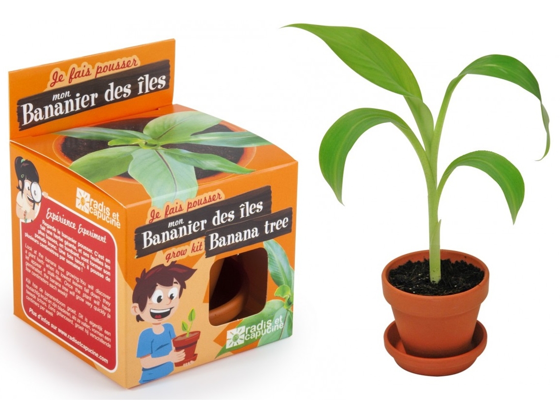 Jogo de Mesa RADIS ET CAPUCINE I Grow My Banana Tree (4 Anos)