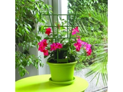 Maca Tutor Schelle 37 Cm Verde Nortene