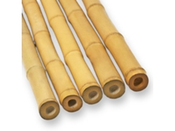 Paquete de 5 palitos de bambú decorativos 11 13 cm de largo 100 cm Maderterraneo