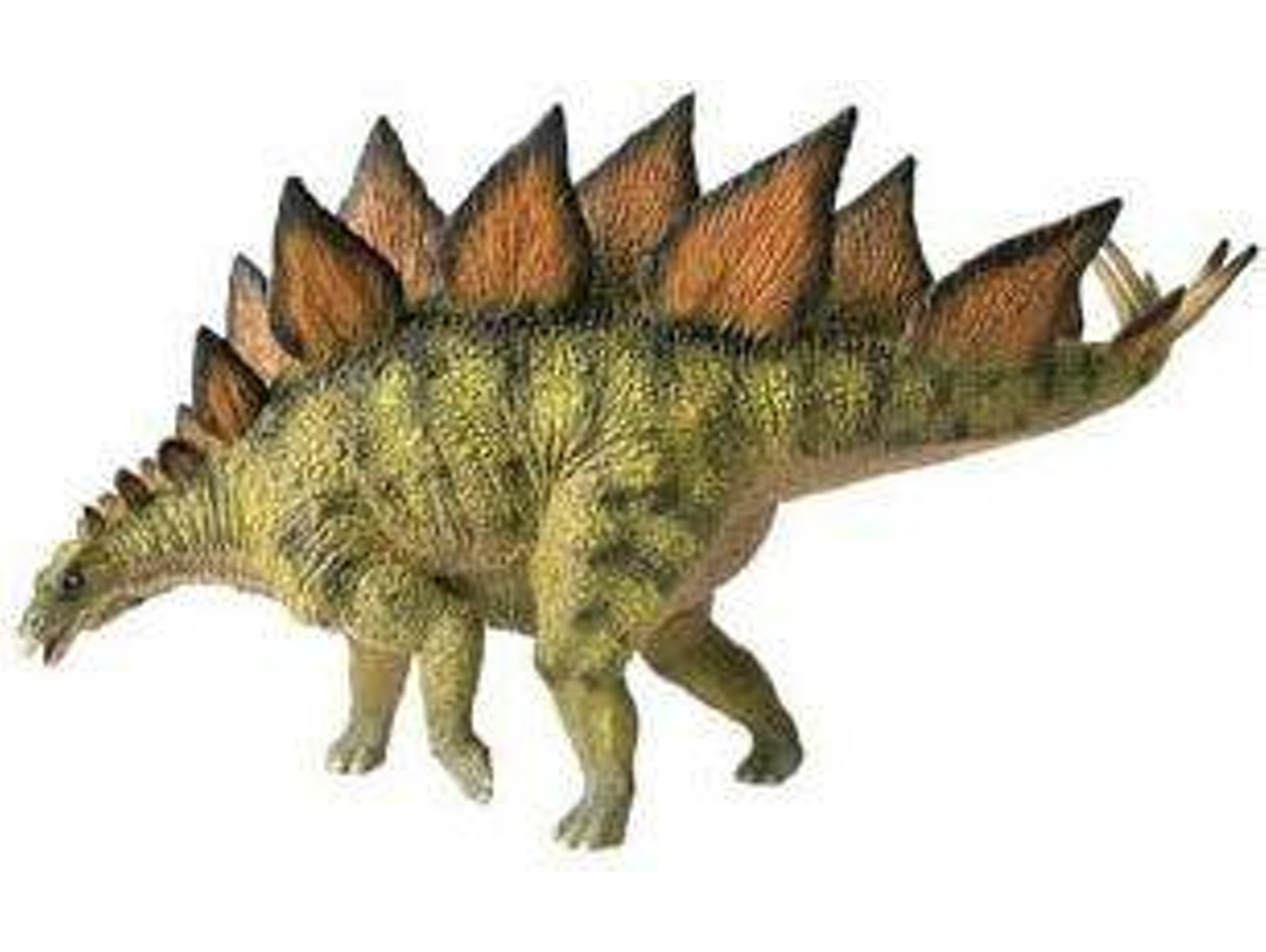 Figura de Jugar BULLYLAND Stegossaurus