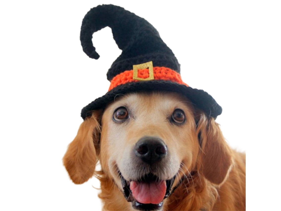 Sombrero De Mago Para Mascotas - Disfraz De Bruja Para Perros - Accesorios De Vestir Para Animales