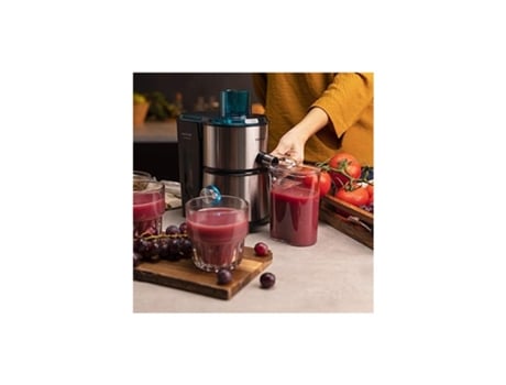 Batidora Cecotec Juice&Fresh 400 1 L 400 W Negro Titanio