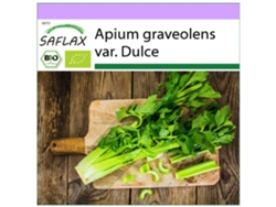 SAFLAX Ecológico Apio Tall Utah 500 semillas Apium graveolens var. Dulce
