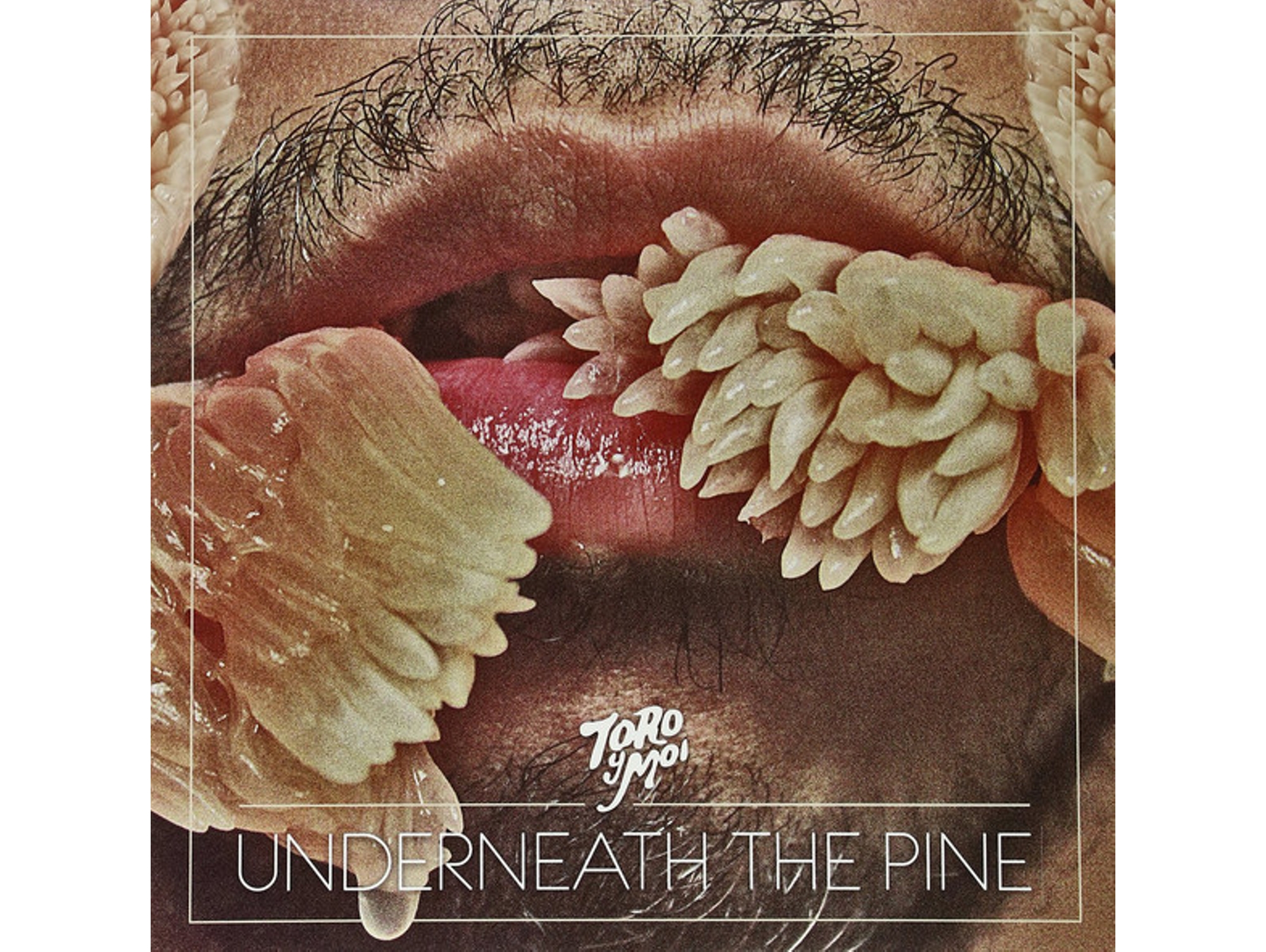 Vinilo Toro Y Moi - Underneath The Pine