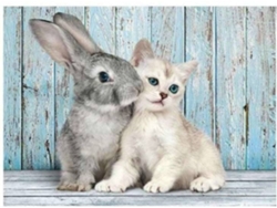 Puzzles CLEMENTONI 500 Gato Y Conejo