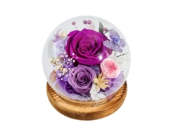 Rosas preservadas en cúpulas de cristal para cumpleaños, Navidad, San Valentín, bodas, Acción de Gracias y regalos del Día de la Madre.