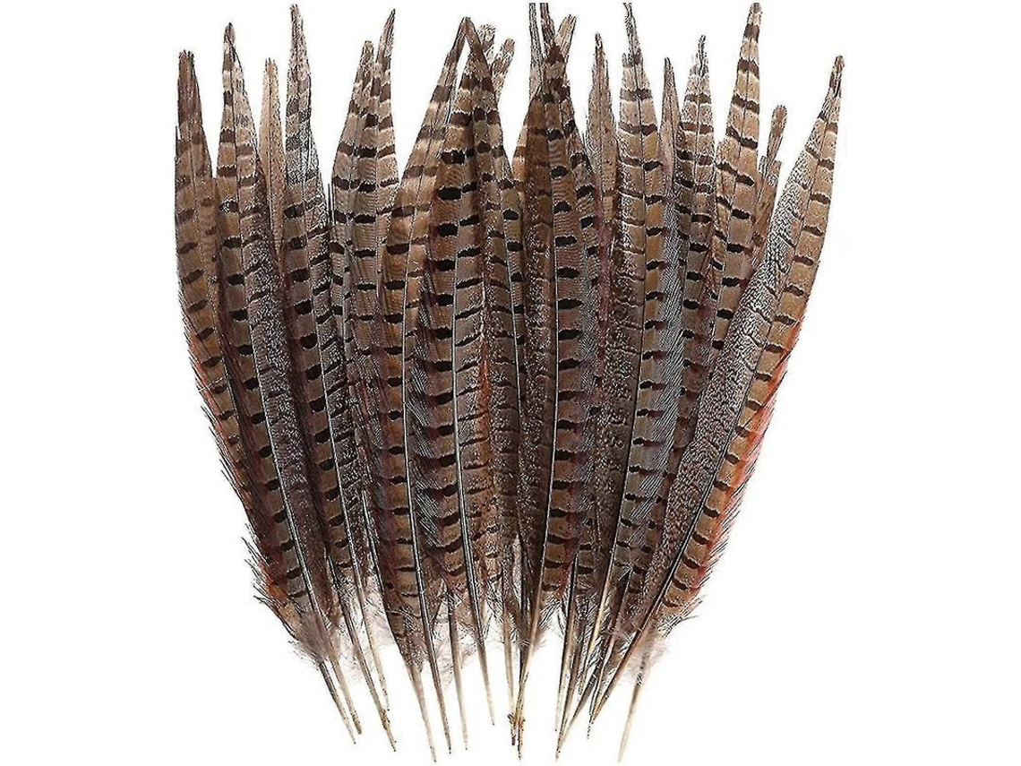 Plumas Naturales De Faisán, 30 Unidades, De 15 A 28 Cm, Plumas Suaves Para Manualidades, Decoración De Fiestas Y Sombreros.