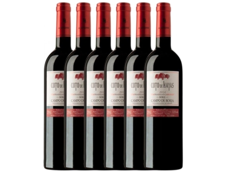 Vino BODEGAS ARAGONESAS Bodegas Aragonesas Coto De Hayas Campo De Borja Crianza (0.75 L - 6 unidades)
