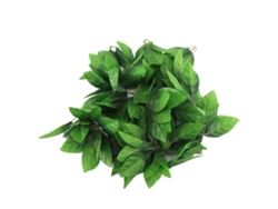 XYVONA 50pcs Folhas De Rosa Artificial Fake, Decoração Diy Para Casa (5,5cm)