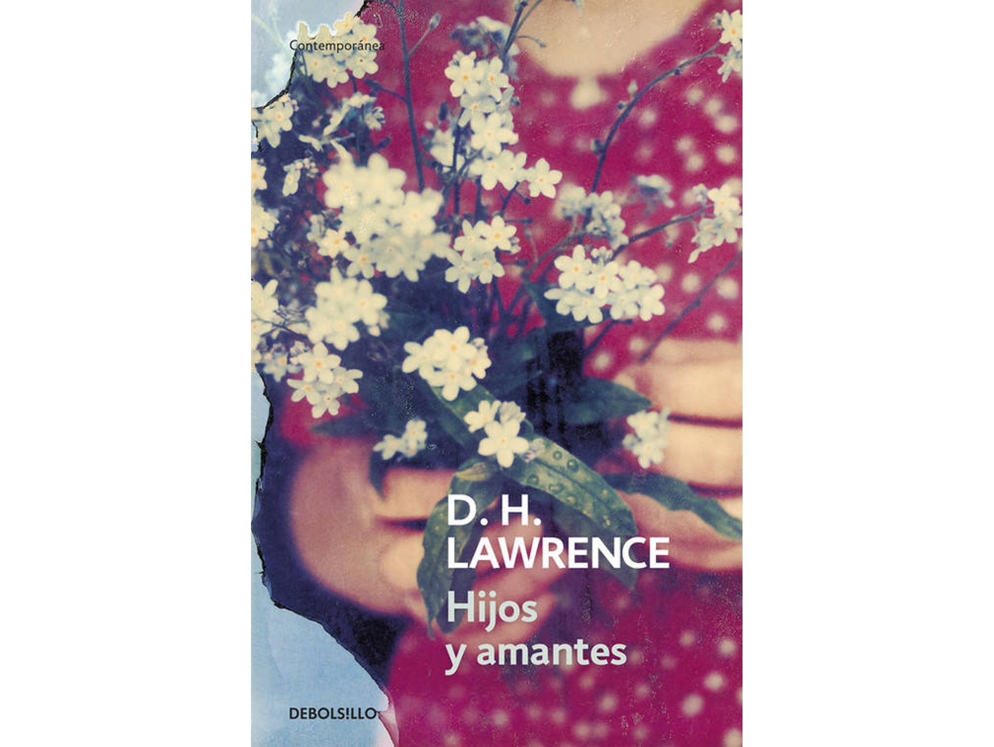 Libro Hijos Y Amantes