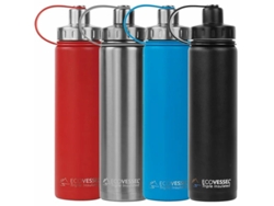 Botella Térmica ECOVESSEL (Multicolor - 700 ml)