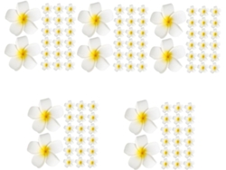 100 Pièces Frangipanier Artificiel Coiffe De Fleur Plumeria Joyaux De Cheveux Para Femmes Épingle...