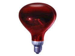 Lámpara Infrarroja Gsc De 250 W*