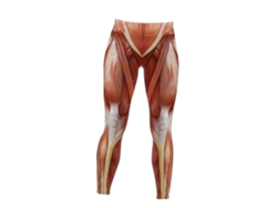 Leggings de cintura alta para mujer con estampado anatómico muscular para pilates, Spring Rosewell