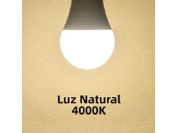 12 bombillas LED de 220 V, forma esférica de 270°, Mdug (luz natural, 12 W, casquillo E14)