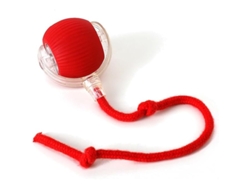 Juguete Gato Interactivo Eléctrico Led Cuerda Cola Rojo
