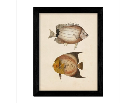 Set De 4 Láminas De Peces Coloridos Efecto Vintage. Composicion De 10 Peces Diferentes, Fondo Papel Antiguo Vintage. . Sin Marco